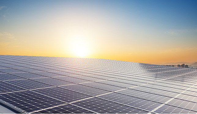 1688304950232308.jpg 1688304950232308.jpg